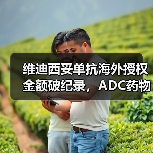 维迪西妥单抗海外授权金额破纪录，ADC药物创新如何突围（图3）