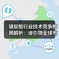 玻尿酸行业技术竞争格局解析:谁引领全球市场?(图2) 玻尿酸行业技术竞争格局解析:谁引领全球市场?(图2)