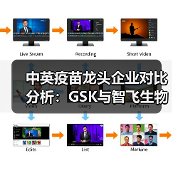 中英疫苗龙头企业对比分析：GSK与智飞生物谁更胜一筹？（图3）
