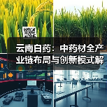 云南白药:中药材全产业链布局与创新模式解析(图2) 云南白药:中药材全产业链布局与创新模式解析(图2)