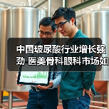 中国玻尿酸行业增长强劲 医美骨科眼科市场如何突围?(图2) 中国玻尿酸行业增长强劲 医美骨科眼科市场如何突围?(图2)
