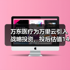 万东医疗为万里云引入战略投资,投后估值14.50亿元!(图3) 万东医疗为万里云引入战略投资,投后估值14.50亿元!(图3)