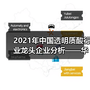 2021年中国透明质酸行业龙头企业分析——华熙生物（图4）
