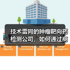 技术雷同的肿瘤靶向药检测公司,如何通过商业模式创新求生?(图1) 技术雷同的肿瘤靶向药检测公司,如何通过商业模式创新求生?(图1)