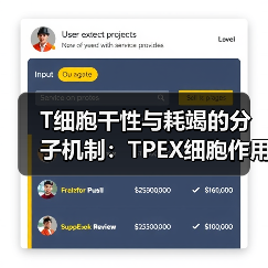 T细胞干性与耗竭的分子机制:TPEX细胞作用及TCF1调控解析(图2) T细胞干性与耗竭的分子机制:TPEX细胞作用及TCF1调控解析(图2)