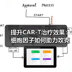 提升CAR-T治疗效果：细胞因子如何助力攻克实体瘤（图4）