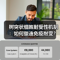 树突状细胞耐受性机制：如何塑造免疫耐受？（图1）
