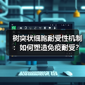 树突状细胞耐受性机制：如何塑造免疫耐受？（图4）