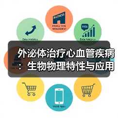 外泌体治疗心血管疾病:生物物理特性与应用潜力(图4) 外泌体治疗心血管疾病:生物物理特性与应用潜力(图4)