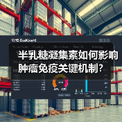 半乳糖凝集素如何影响肿瘤免疫关键机制？（图3）