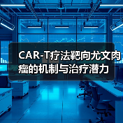 CAR-T疗法靶向尤文肉瘤的机制与治疗潜力（图2）