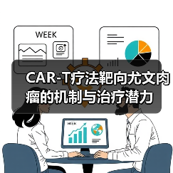 CAR-T疗法靶向尤文肉瘤的机制与治疗潜力（图4）