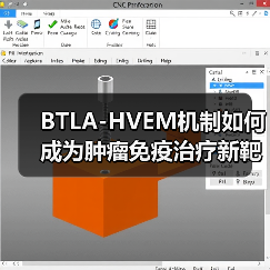 BTLA-HVEM机制如何成为肿瘤免疫治疗新靶点？（图2）