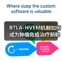 BTLA-HVEM机制如何成为肿瘤免疫治疗新靶点？（图3）