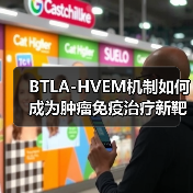BTLA-HVEM机制如何成为肿瘤免疫治疗新靶点？（图4）