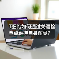 T细胞如何通过关键检查点维持自身耐受?(图1) T细胞如何通过关键检查点维持自身耐受?(图1)