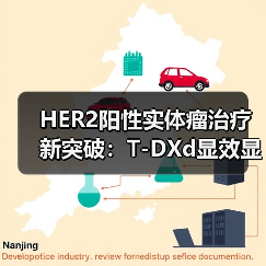 HER2阳性实体瘤治疗新突破:T-DXd显效显著,疗效评估(图1) HER2阳性实体瘤治疗新突破:T-DXd显效显著,疗效评估(图1)