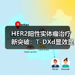 HER2阳性实体瘤治疗新突破:T-DXd显效显著,疗效评估(图2) HER2阳性实体瘤治疗新突破:T-DXd显效显著,疗效评估(图2)