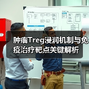 肿瘤Treg浸润机制与免疫治疗靶点关键解析(图4) 肿瘤Treg浸润机制与免疫治疗靶点关键解析(图4)