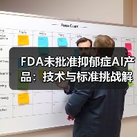 FDA未批准抑郁症AI产品:技术与标准挑战解析(图3) FDA未批准抑郁症AI产品:技术与标准挑战解析(图3)