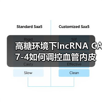 高糖环境下lncRNA CA7-4如何调控血管内皮细胞自噬与凋亡新机制(图1) 高糖环境下lncRNA CA7-4如何调控血管内皮细胞自噬与凋亡新机制(图1)