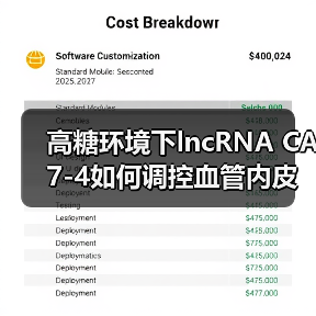 高糖环境下lncRNA CA7-4如何调控血管内皮细胞自噬与凋亡新机制(图3) 高糖环境下lncRNA CA7-4如何调控血管内皮细胞自噬与凋亡新机制(图3)