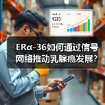 ERα-36如何通过信号网络推动乳腺癌发展?背后的分子机制揭秘(图2) ERα-36如何通过信号网络推动乳腺癌发展?背后的分子机制揭秘(图2)