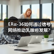 ERα-36如何通过信号网络推动乳腺癌发展?背后的分子机制揭秘(图3) ERα-36如何通过信号网络推动乳腺癌发展?背后的分子机制揭秘(图3)