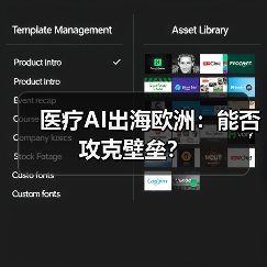 医疗AI出海欧洲:能否攻克壁垒?(图1) 医疗AI出海欧洲:能否攻克壁垒?(图1)