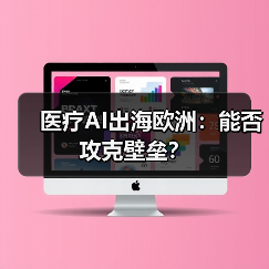 医疗AI出海欧洲:能否攻克壁垒?(图4) 医疗AI出海欧洲:能否攻克壁垒?(图4)