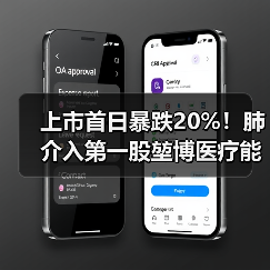 上市首日暴跌20%！肺介入第一股堃博医疗能否突围？（图1）
