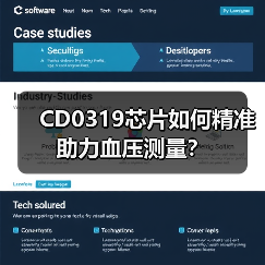 CD0319芯片如何精准助力血压测量?(图2) CD0319芯片如何精准助力血压测量?(图2)