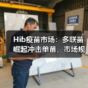 Hib疫苗市场:多联苗崛起冲击单苗,市场规模将如何变化?(图1) Hib疫苗市场:多联苗崛起冲击单苗,市场规模将如何变化?(图1)