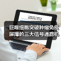 巨噬细胞突破肿瘤免疫屏障的三大信号通路机制（图3）