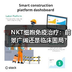 NKT细胞免疫治疗:前景广阔还是临床困局?突破方向解析(图2) NKT细胞免疫治疗:前景广阔还是临床困局?突破方向解析(图2)