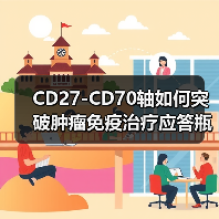 CD27-CD70轴如何突破肿瘤免疫治疗应答瓶颈？（图1）