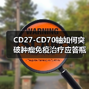 CD27-CD70轴如何突破肿瘤免疫治疗应答瓶颈？（图2）