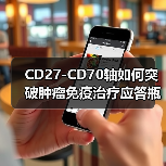 CD27-CD70轴如何突破肿瘤免疫治疗应答瓶颈？（图4）