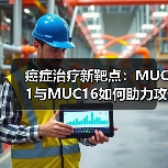 癌症治疗新靶点：MUC1与MUC16如何助力攻克肿瘤？（图1）