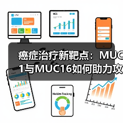 癌症治疗新靶点：MUC1与MUC16如何助力攻克肿瘤？（图3）