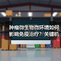 肿瘤微生物微环境如何影响免疫治疗？关键机制解析（图4）