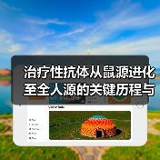 治疗性抗体从鼠源进化至全人源的关键历程与技术突破（图4）