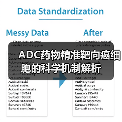ADC药物精准靶向癌细胞的科学机制解析（图1）