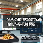 ADC药物精准靶向癌细胞的科学机制解析（图3）