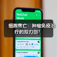 细胞焦亡：肿瘤免疫治疗的双刃剑？（图2）