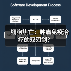 细胞焦亡：肿瘤免疫治疗的双刃剑？（图4）