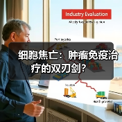 细胞焦亡：肿瘤免疫治疗的双刃剑？（图3）