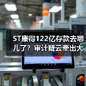 ST康得122亿存款去哪儿了？审计疑云牵出大股东侵占（图2）