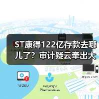 ST康得122亿存款去哪儿了？审计疑云牵出大股东侵占（图4）