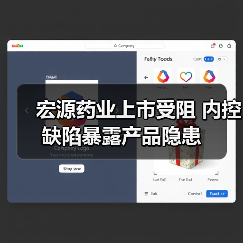 宏源药业上市受阻 内控缺陷暴露产品隐患（图4）